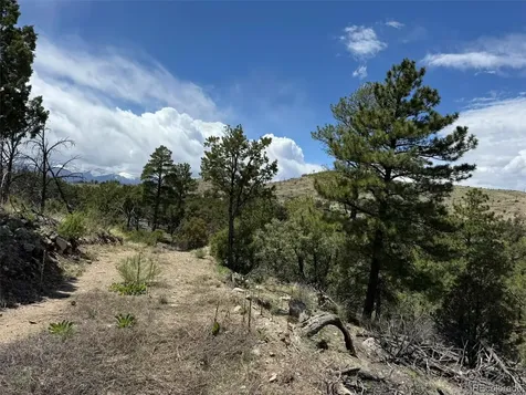 Tbd 33rd Cotopaxi CO 81223