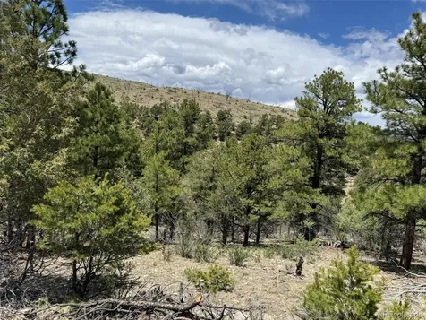 Tbd 33rd Cotopaxi CO 81223