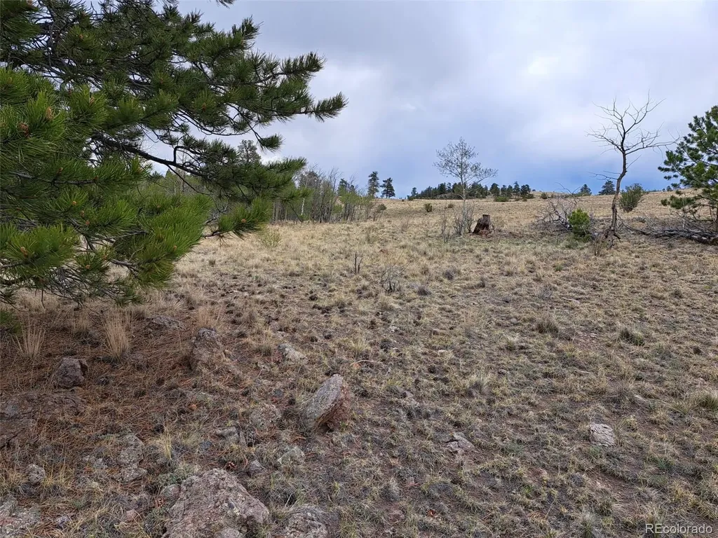 00 Dog Soldier Trail Hartsel CO 80449