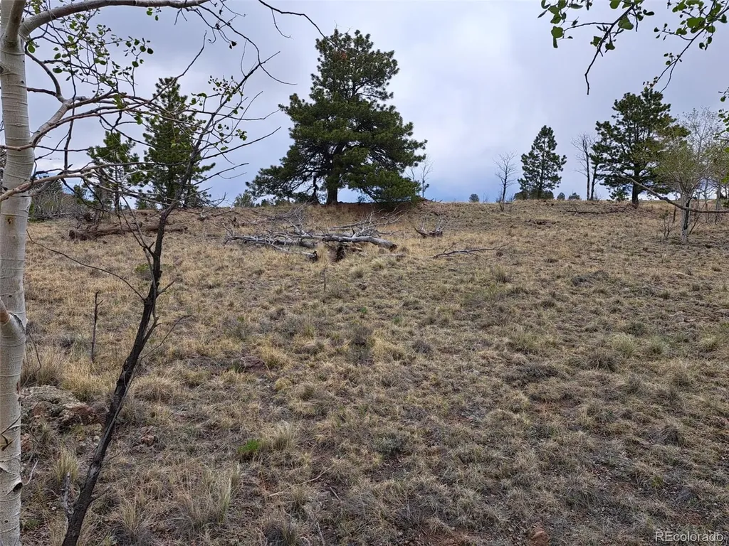 00 Dog Soldier Trail Hartsel CO 80449