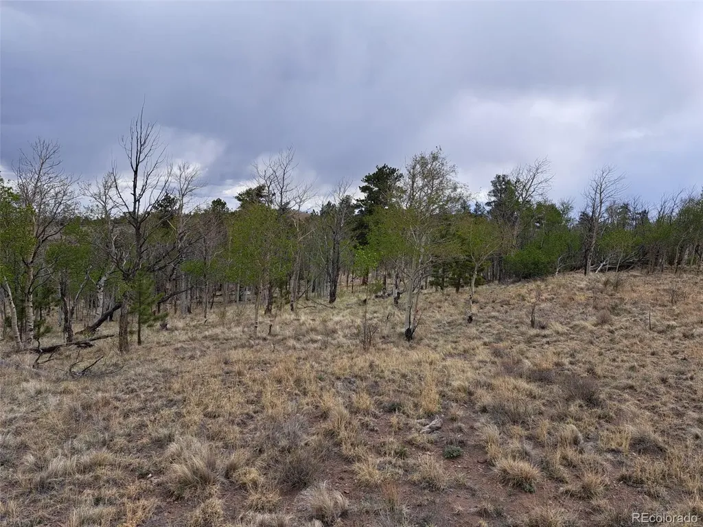 00 Dog Soldier Trail Hartsel CO 80449