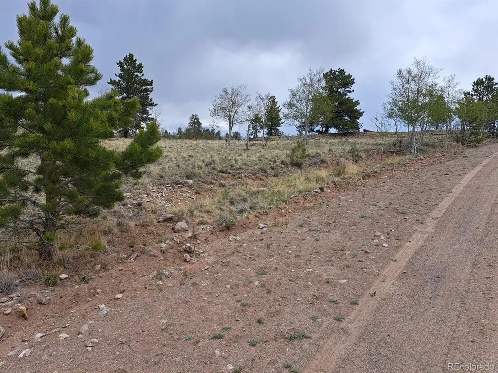 00 Dog Soldier Trail Hartsel CO 80449
