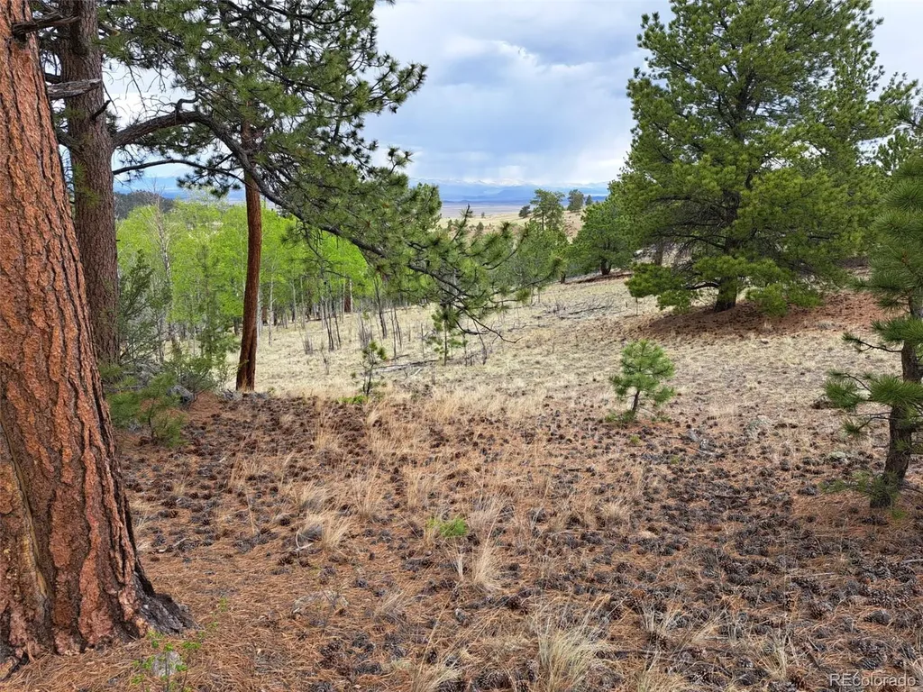 00 Dog Soldier Trail Hartsel CO 80449