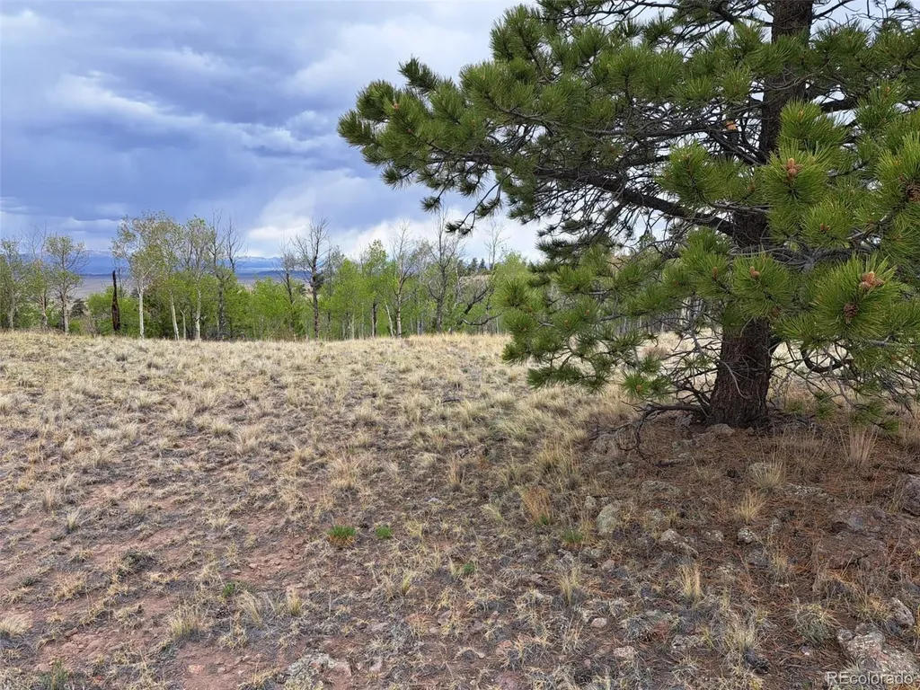 00 Dog Soldier Trail Hartsel CO 80449