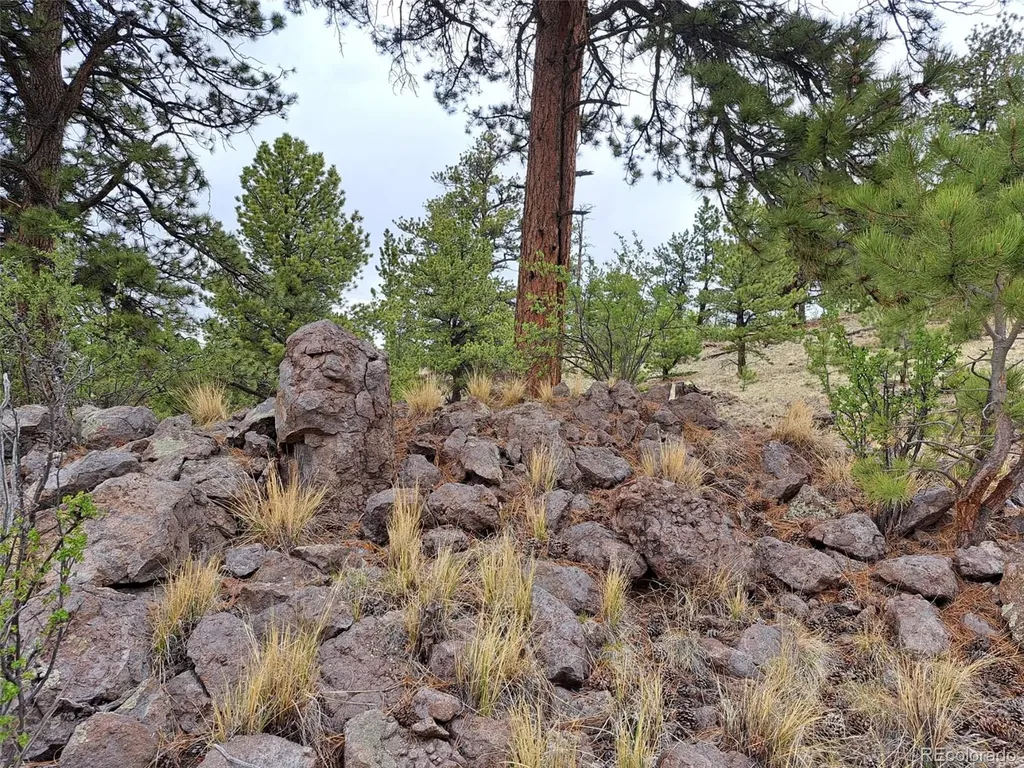 00 Dog Soldier Trail Hartsel CO 80449