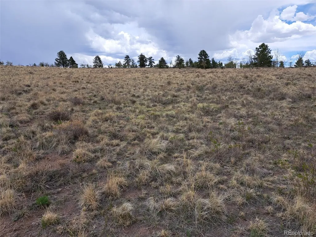 00 Dog Soldier Trail Hartsel CO 80449