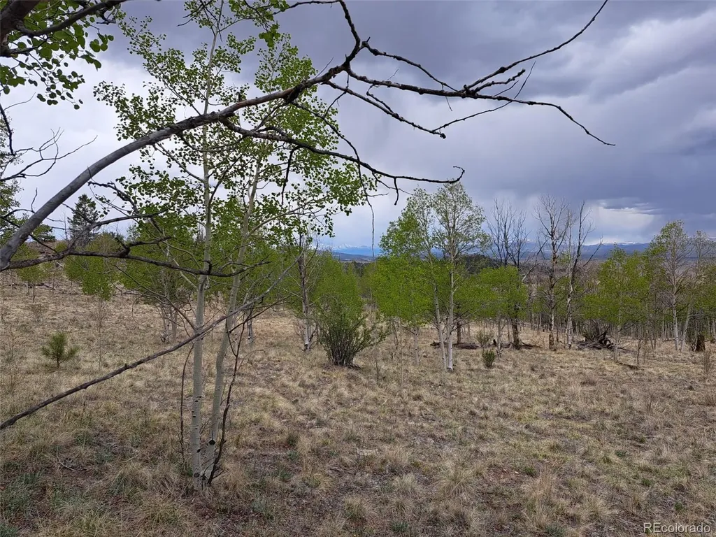 00 Dog Soldier Trail Hartsel CO 80449