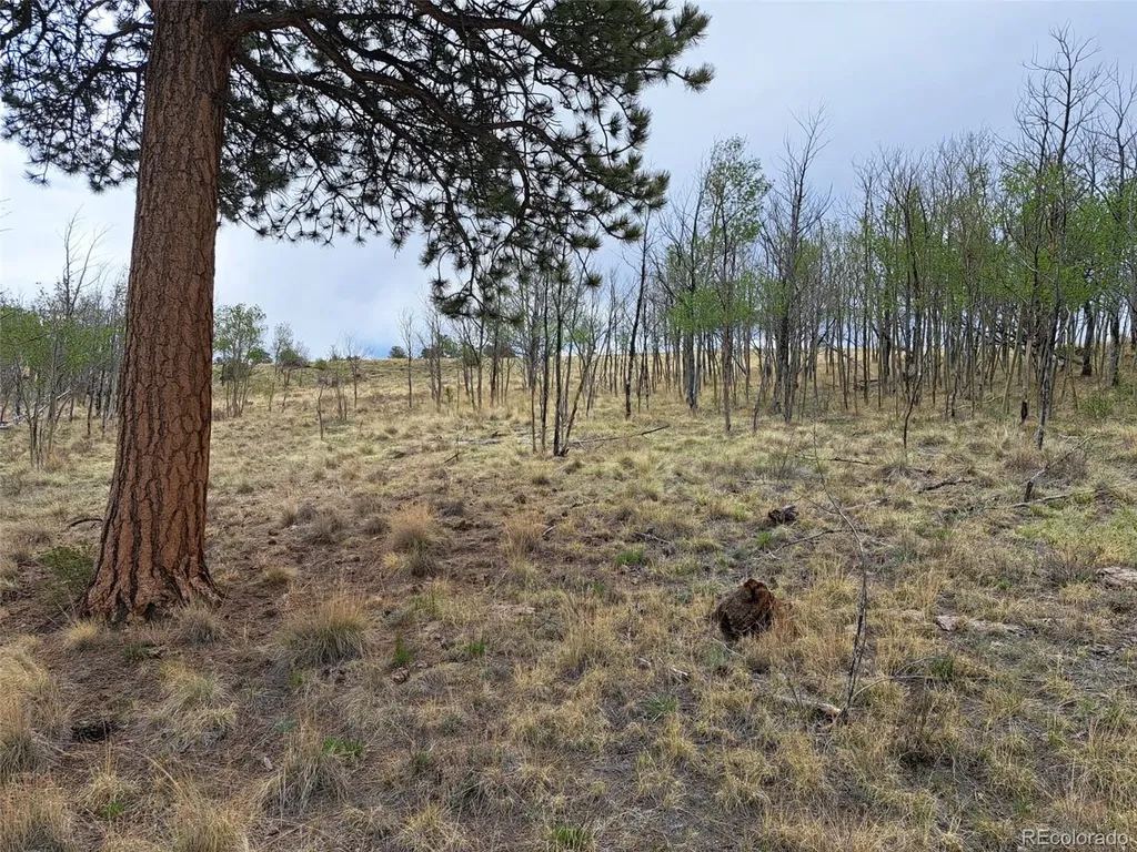 00 Dog Soldier Trail Hartsel CO 80449
