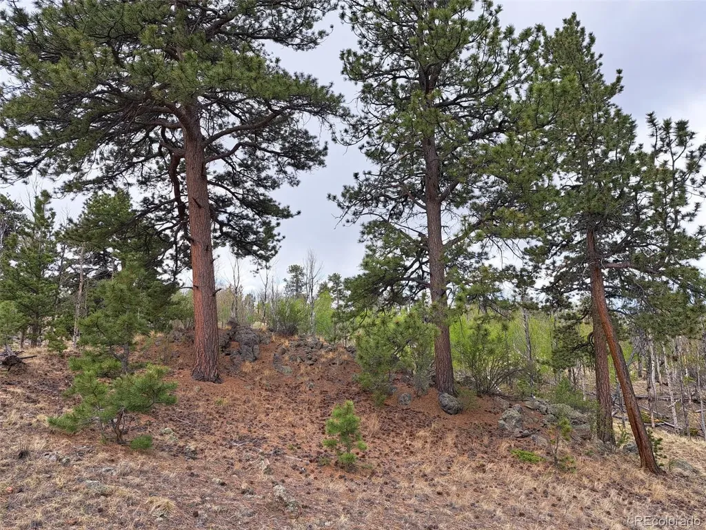 00 Dog Soldier Trail Hartsel CO 80449