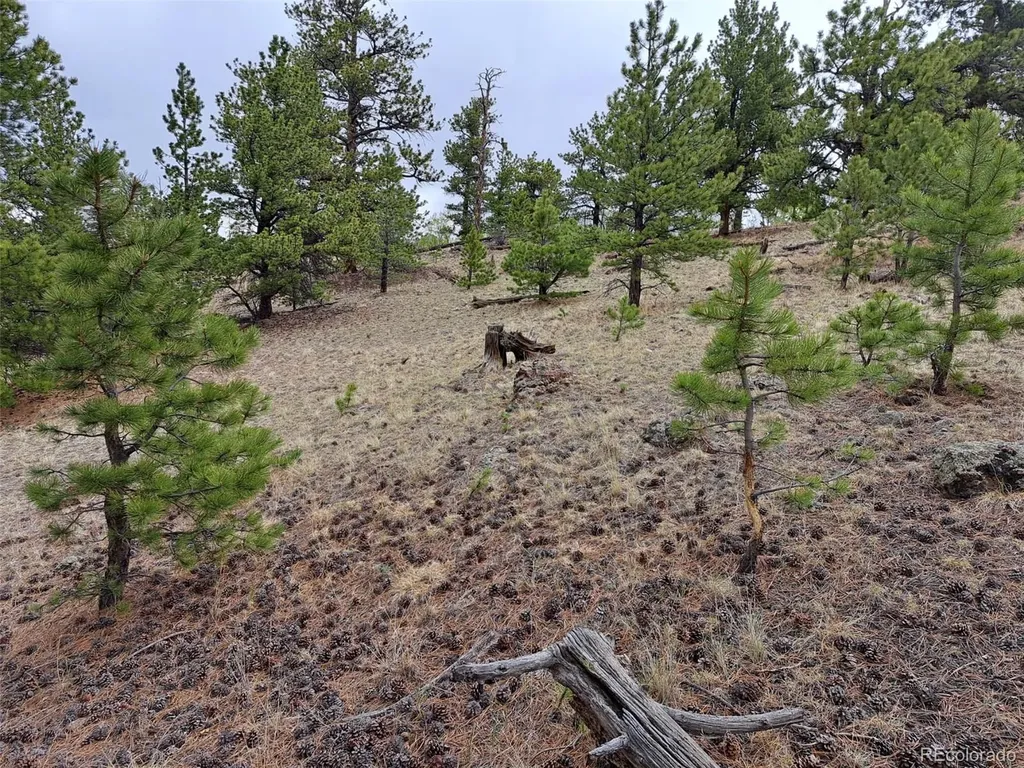 00 Dog Soldier Trail Hartsel CO 80449