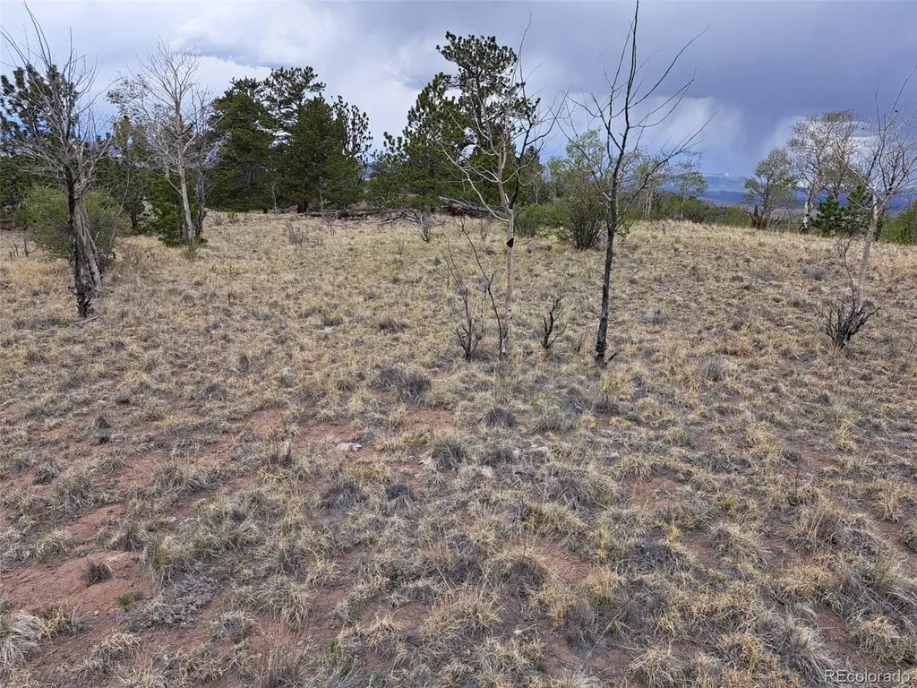 00 Dog Soldier Trail Hartsel CO 80449