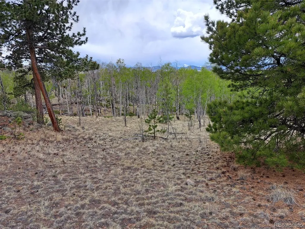 00 Dog Soldier Trail Hartsel CO 80449