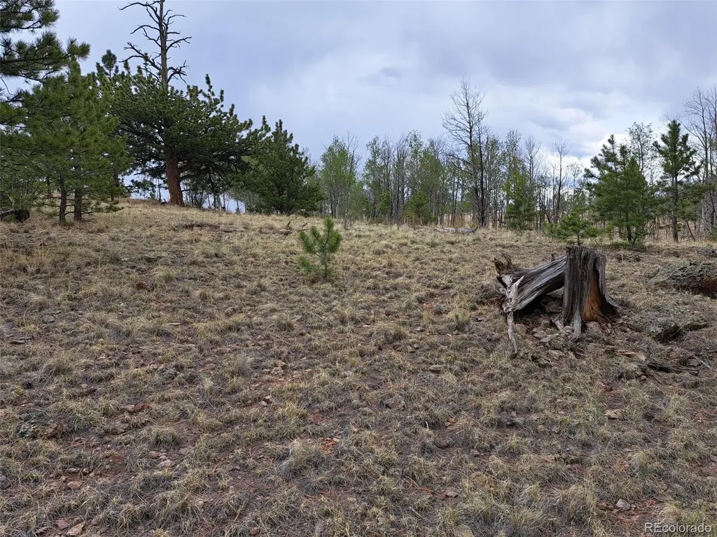00 Dog Soldier Trail Hartsel CO 80449