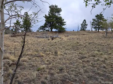 00 Dog Soldier Trail Hartsel CO 80449