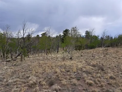 00 Dog Soldier Trail Hartsel CO 80449