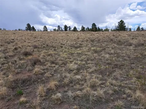 00 Dog Soldier Trail Hartsel CO 80449