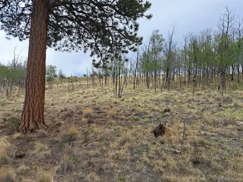 00 Dog Soldier Trail Hartsel CO 80449