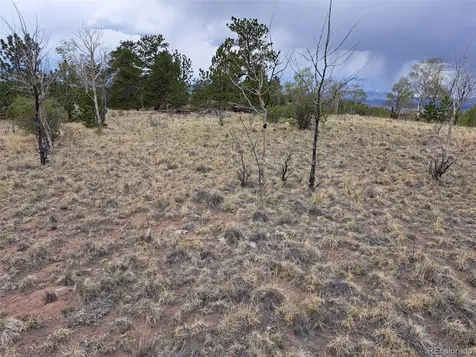 00 Dog Soldier Trail Hartsel CO 80449