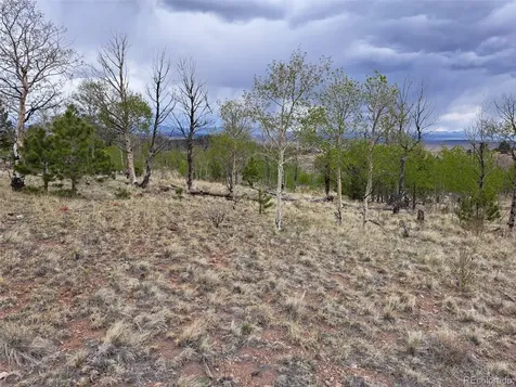 00 Dog Soldier Trail Hartsel CO 80449