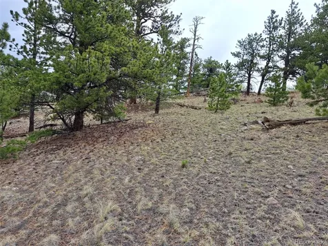 00 Dog Soldier Trail Hartsel CO 80449