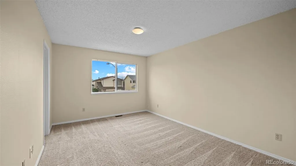 7234 Moss Bluff Court Fountain CO 80817