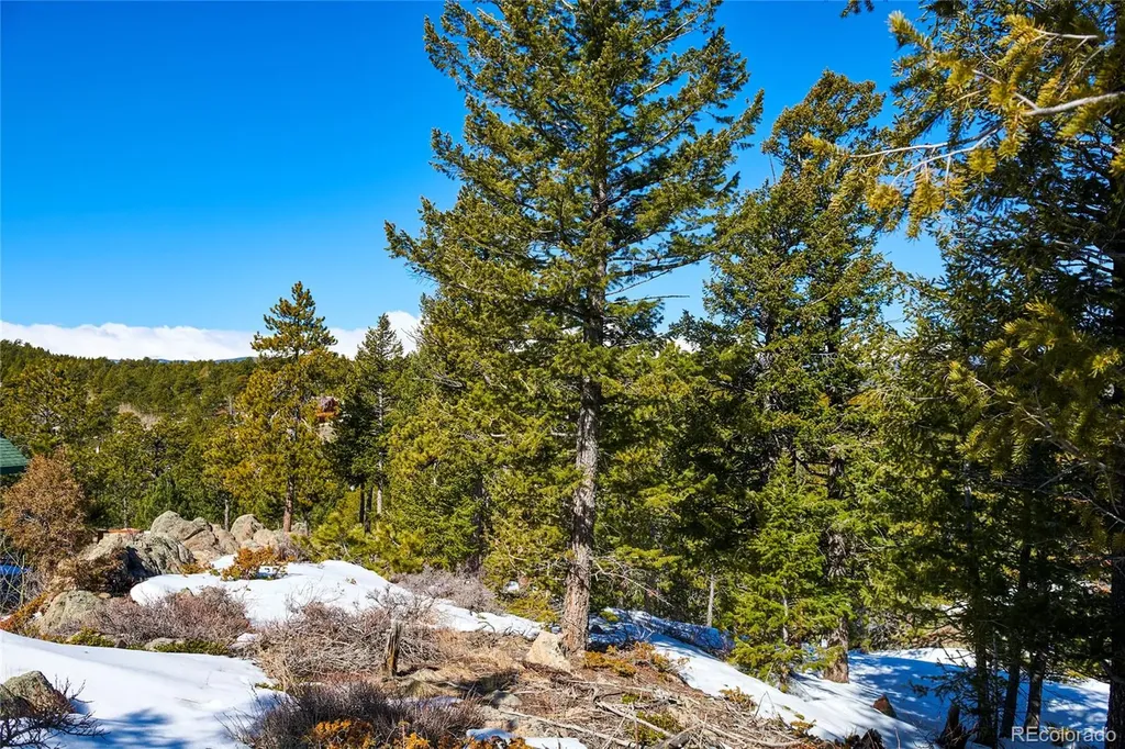 815 Cougar Run Nederland CO 80466