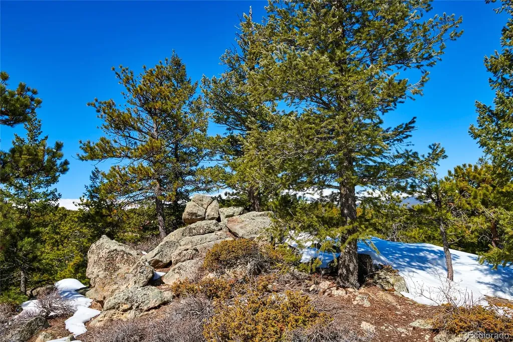 815 Cougar Run Nederland CO 80466