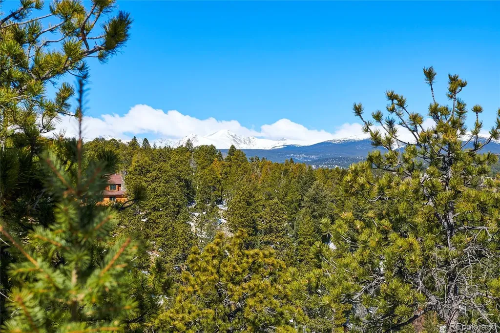 815 Cougar Run Nederland CO 80466