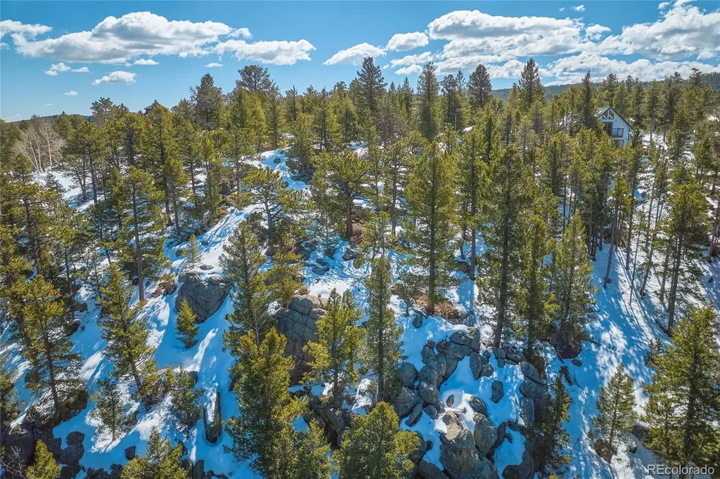 815 Cougar Run Nederland CO 80466