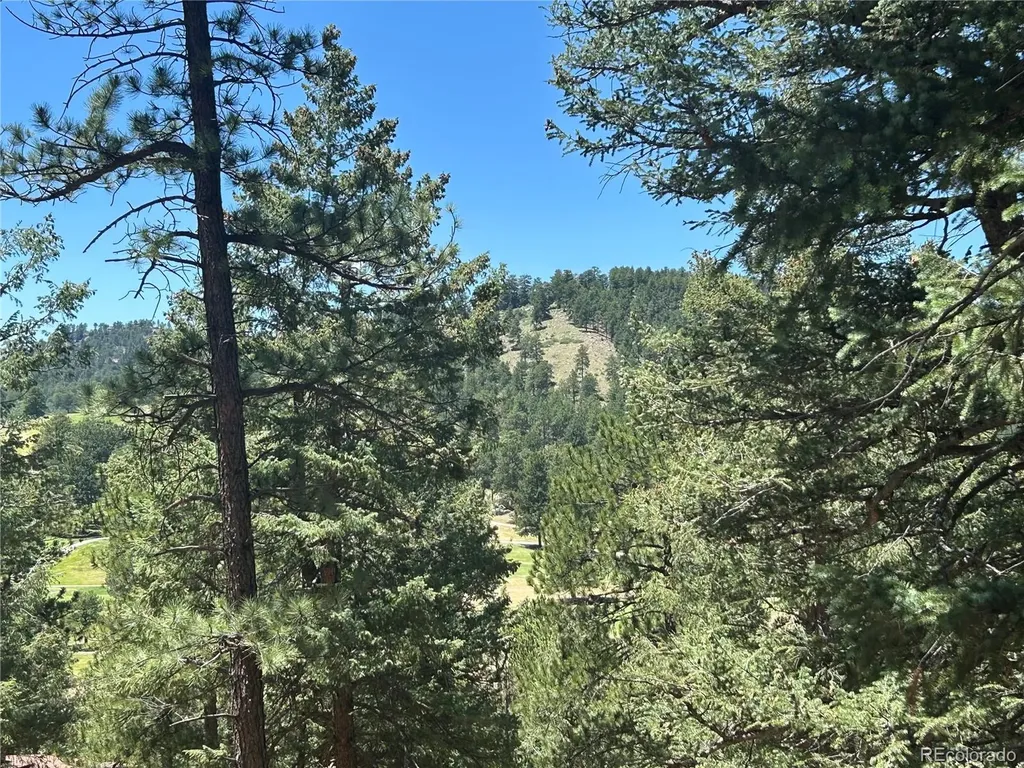 00 Pine Road Evergreen CO 80439