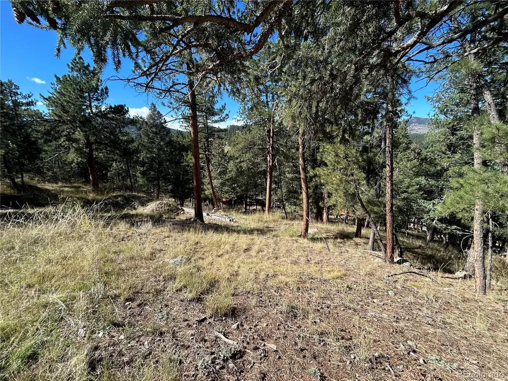 00 Pine Road Evergreen CO 80439