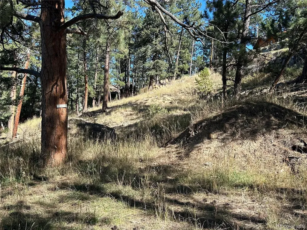 00 Pine Road Evergreen CO 80439