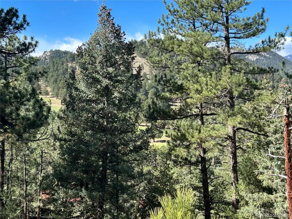 00 Pine Road Evergreen CO 80439