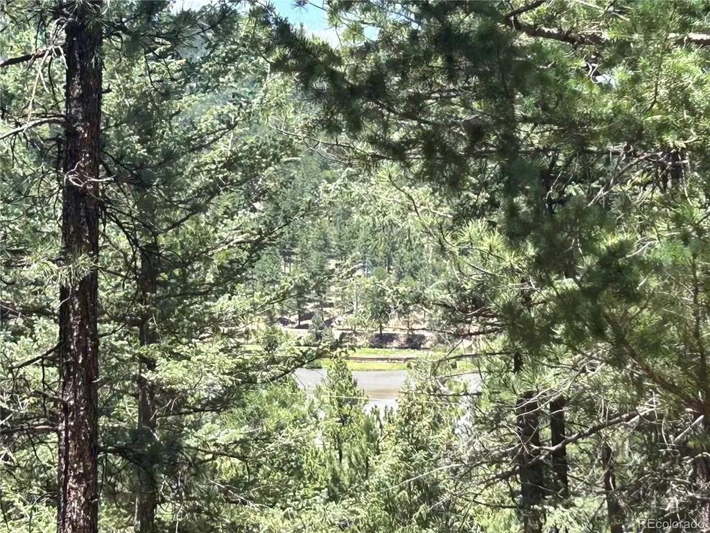 00 Pine Road Evergreen CO 80439