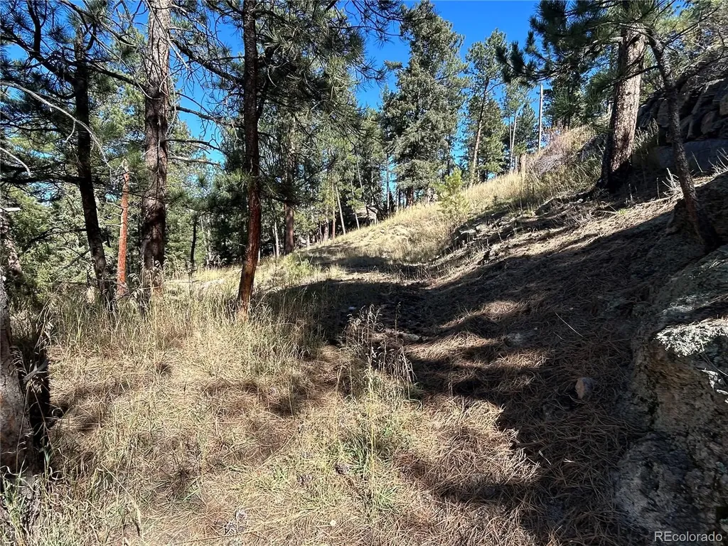 00 Pine Road Evergreen CO 80439