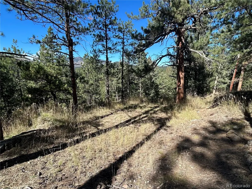 00 Pine Road Evergreen CO 80439