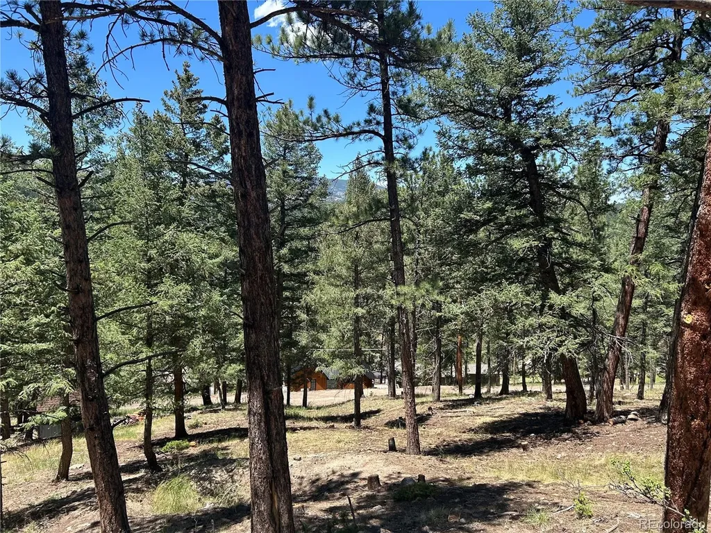 00 Pine Road Evergreen CO 80439