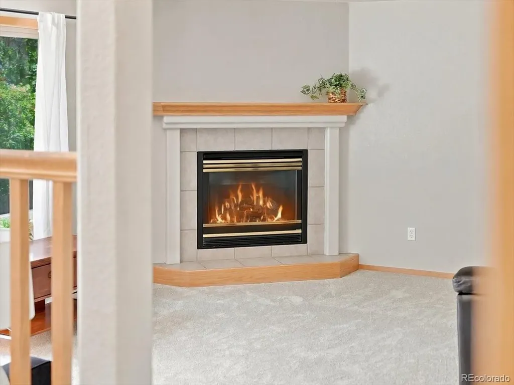 1515 Carmela Court Fort Collins CO 80526