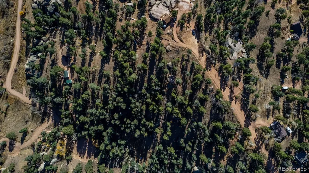 74 Quandry Circle Florissant CO 80816