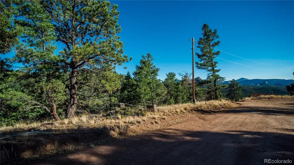 74 Quandry Circle Florissant CO 80816