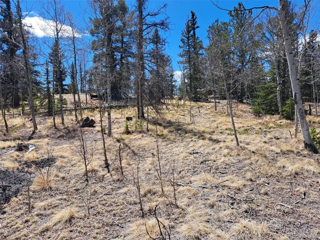 730 Tepee Trail Como CO 80432