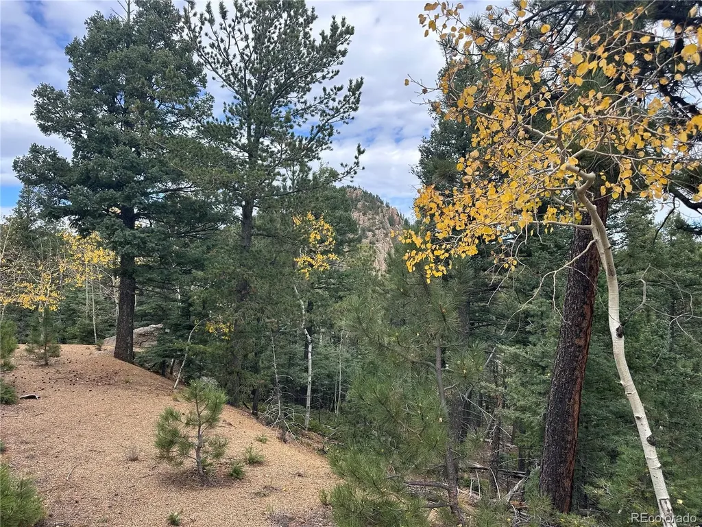 316 Summit Ridge Manitou Springs CO 80829