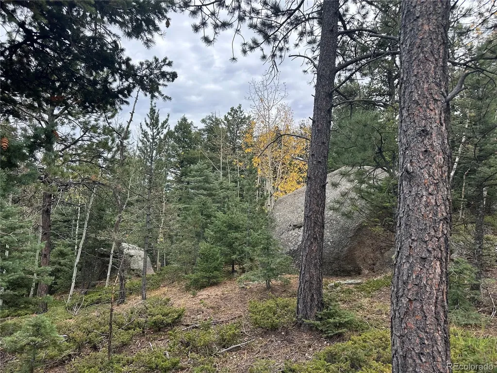 316 Summit Ridge Manitou Springs CO 80829