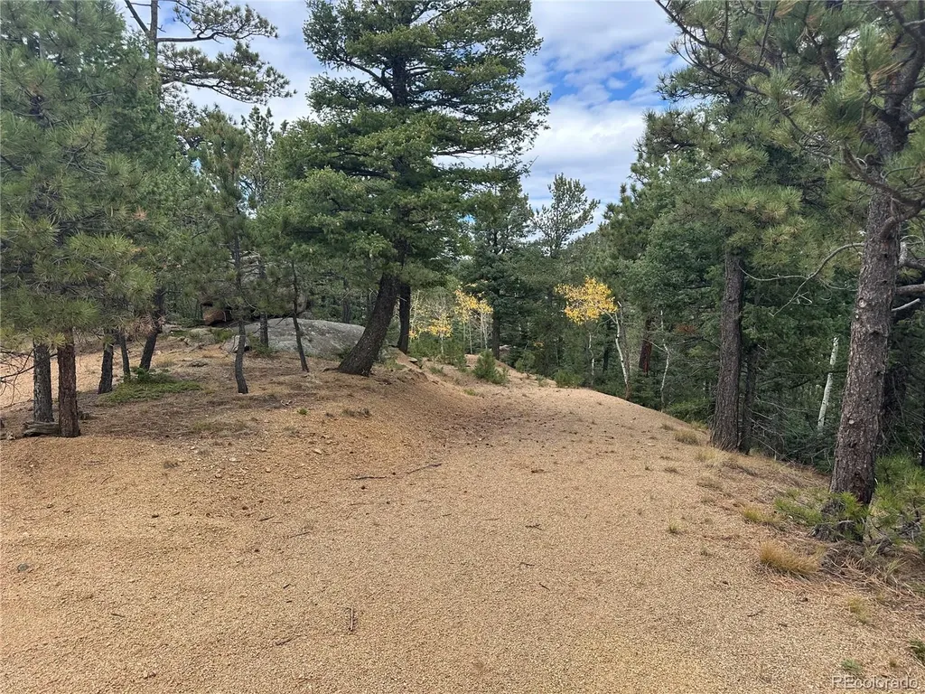 316 Summit Ridge Manitou Springs CO 80829