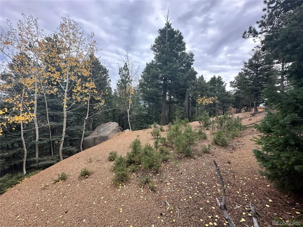 316 Summit Ridge Manitou Springs CO 80829