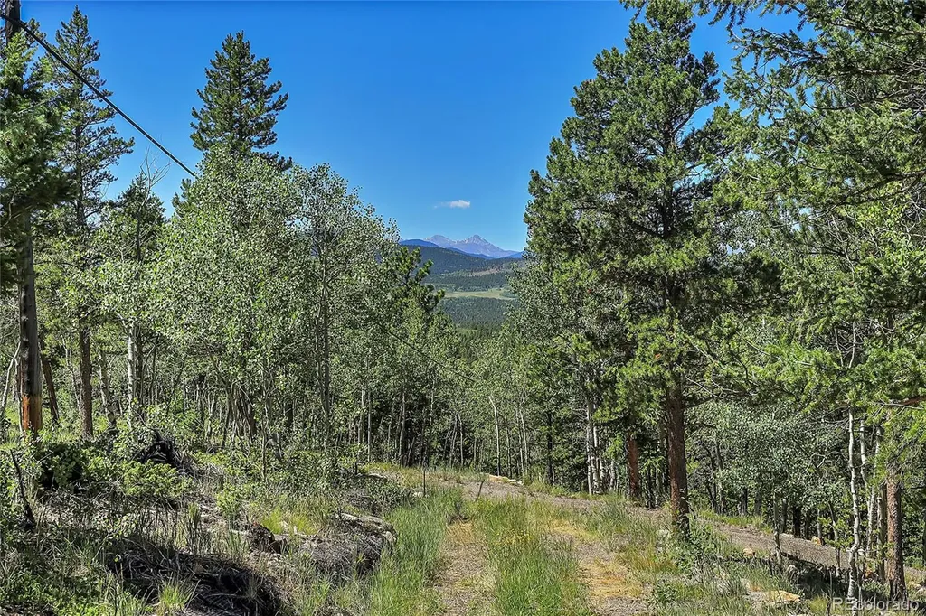 Block 9 Lot 4 Hughesville Road Black Hawk CO 80422