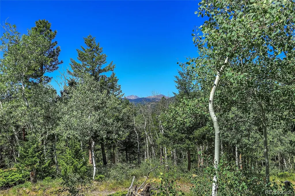 Block 9 Lot 4 Hughesville Road Black Hawk CO 80422