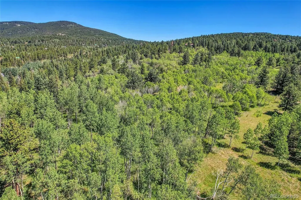 Block 9 Lot 4 Hughesville Road Black Hawk CO 80422