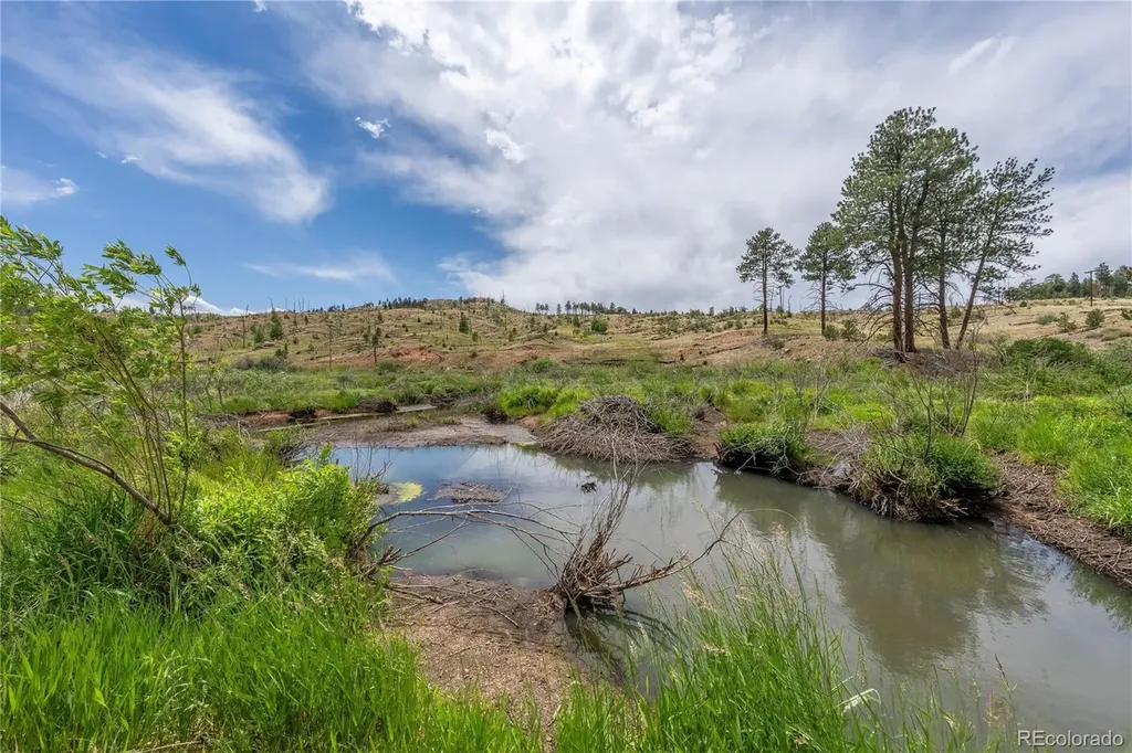 15970 Willow Way Woodland Park CO 80863