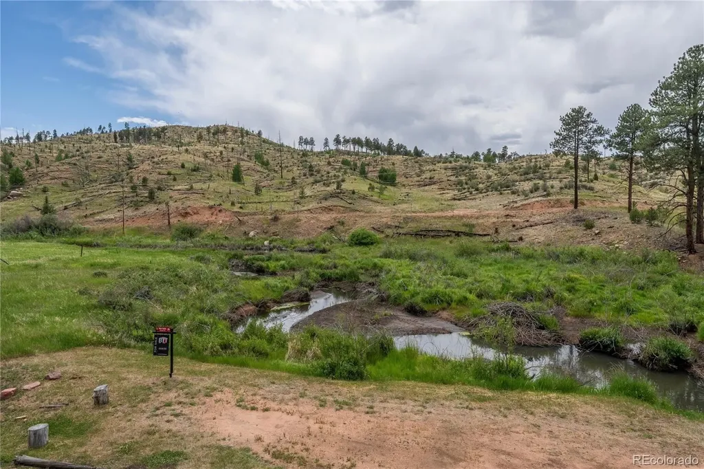 15970 Willow Way Woodland Park CO 80863